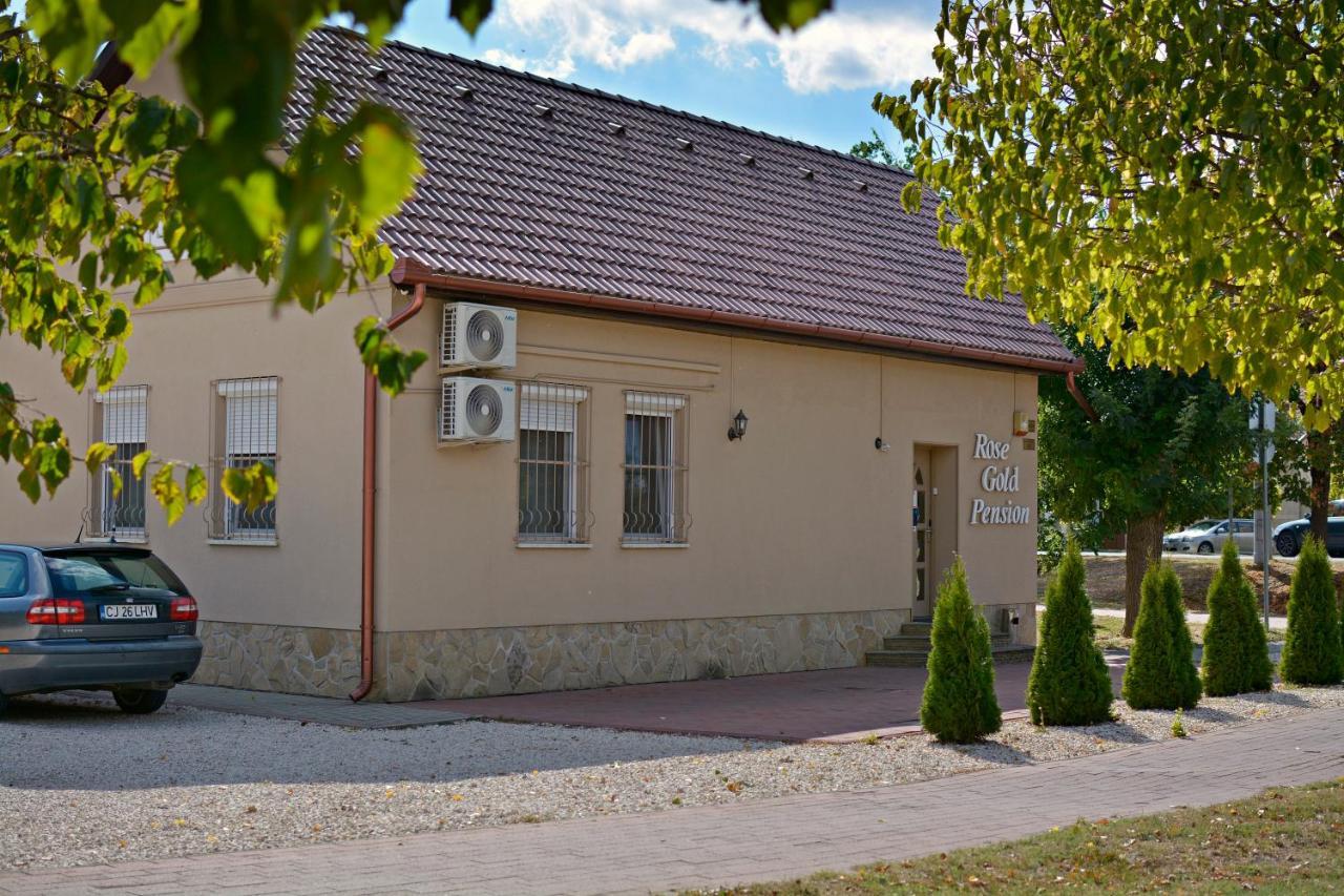R.Gold Apartman Makó 외부 사진